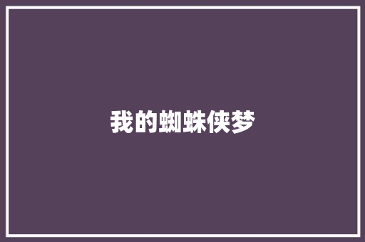 我的蜘蛛侠梦