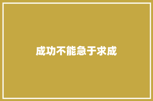 成功不能急于求成