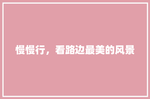 慢慢行，看路边最美的风景