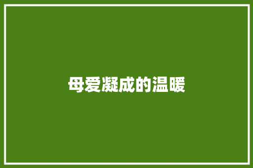 母爱凝成的温暖