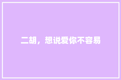 二胡，想说爱你不容易
