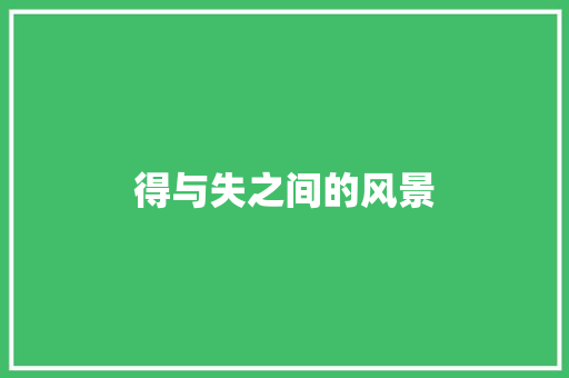 得与失之间的风景