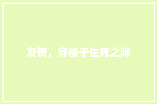 友情，穿梭于生死之际