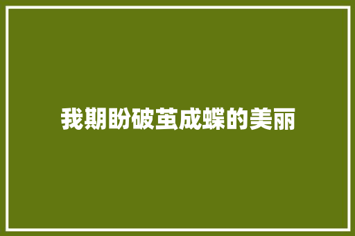 我期盼破茧成蝶的美丽