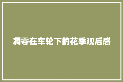 凋零在车轮下的花季观后感