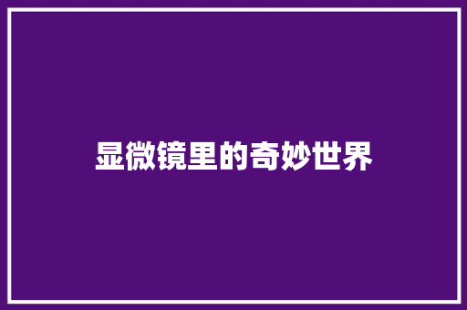 显微镜里的奇妙世界