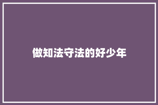 做知法守法的好少年