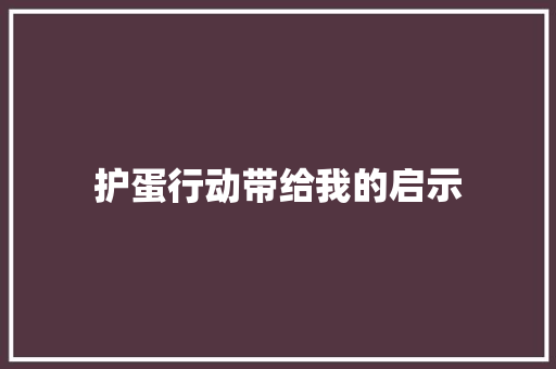 护蛋行动带给我的启示