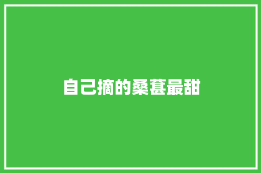 自己摘的桑葚最甜