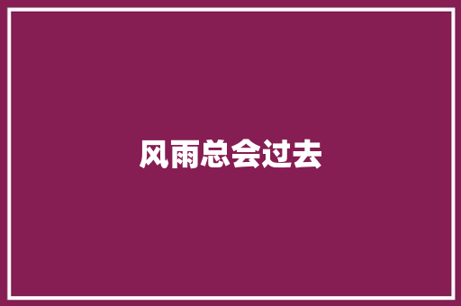 风雨总会过去