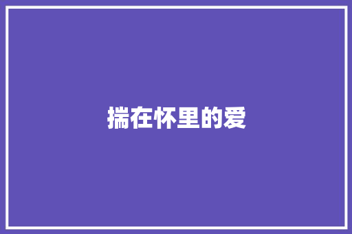 揣在怀里的爱