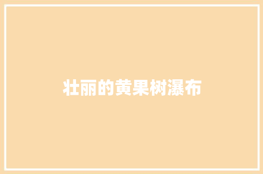 壮丽的黄果树瀑布