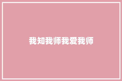 我知我师我爱我师
