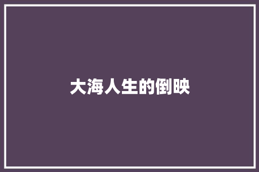 大海人生的倒映
