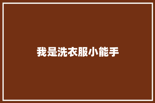 我是洗衣服小能手