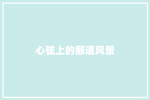 心弦上的那道风景