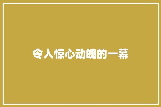 令人惊心动魄的一幕
