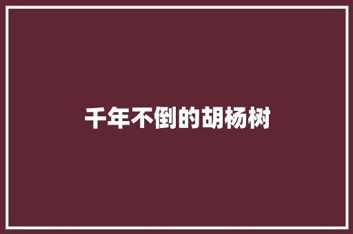 千年不倒的胡杨树
