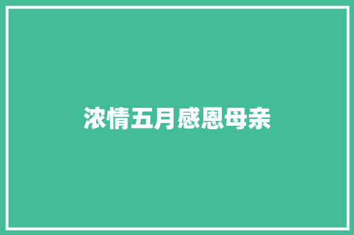 浓情五月感恩母亲
