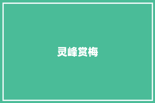 灵峰赏梅