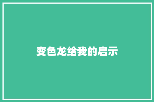 变色龙给我的启示