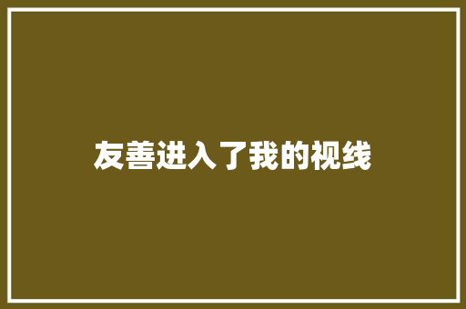 友善进入了我的视线