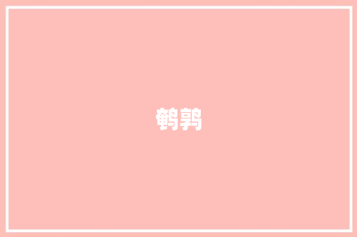 鹌鹑