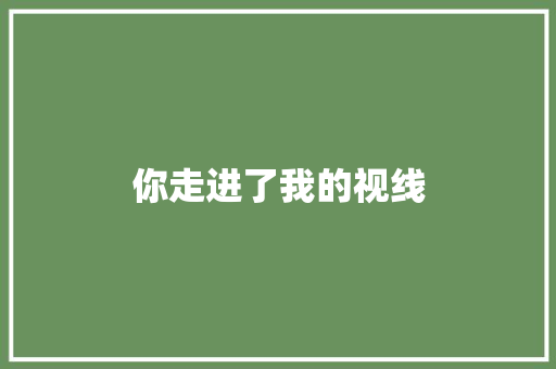 你走进了我的视线