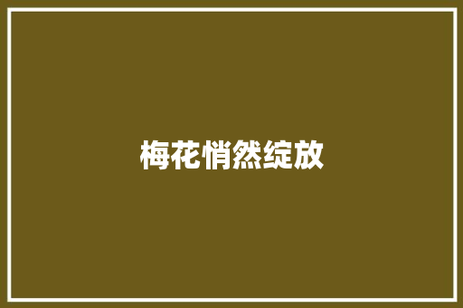 梅花悄然绽放
