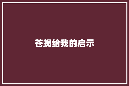 苍蝇给我的启示