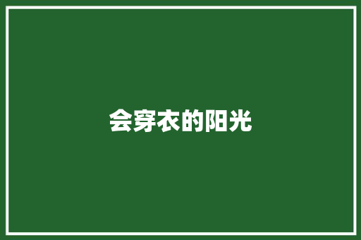 会穿衣的阳光
