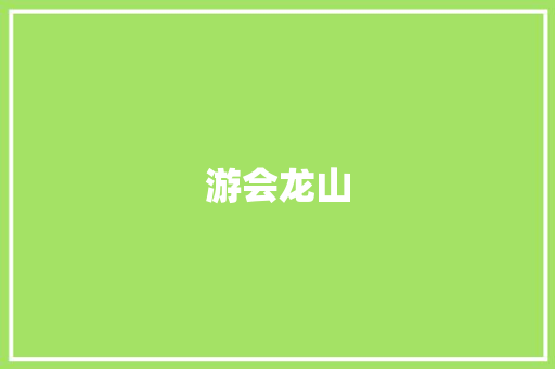 游会龙山