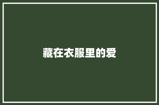 藏在衣服里的爱
