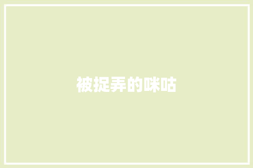 被捉弄的咪咕