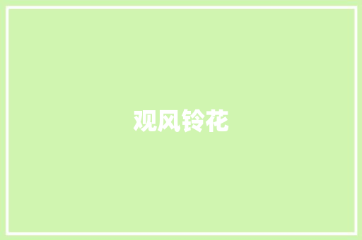 观风铃花