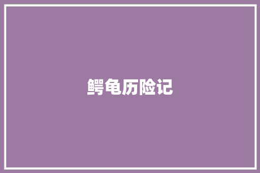 鳄龟历险记
