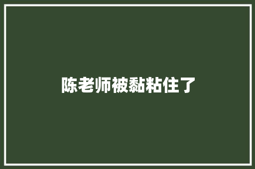 陈老师被黏粘住了