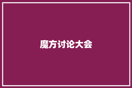 魔方讨论大会