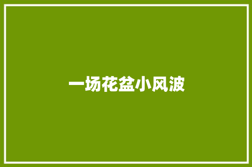 一场花盆小风波