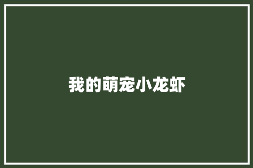 我的萌宠小龙虾