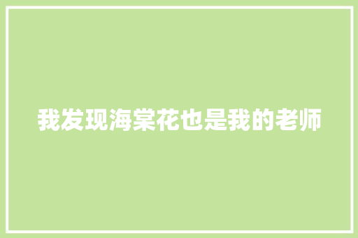 我发现海棠花也是我的老师