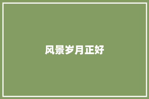 风景岁月正好