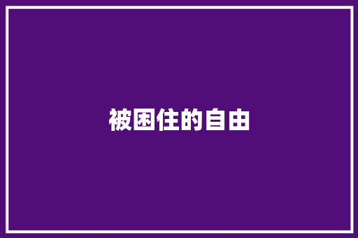 被困住的自由