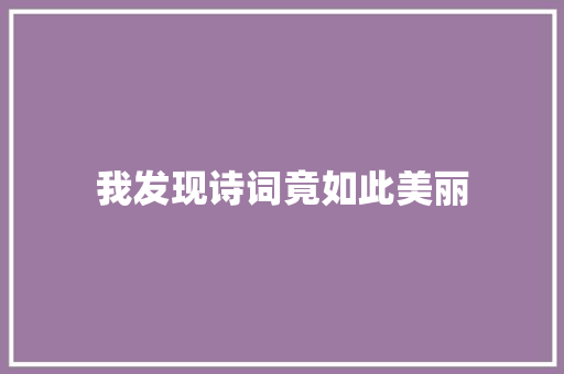 我发现诗词竟如此美丽