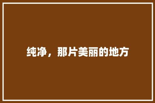 纯净，那片美丽的地方