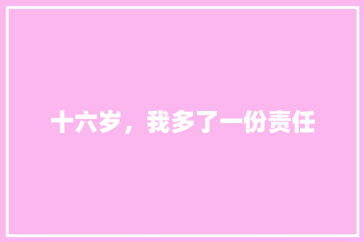 十六岁，我多了一份责任