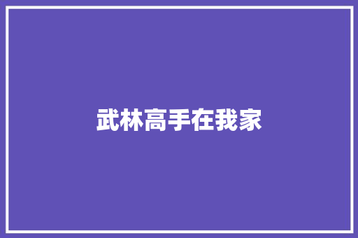 武林高手在我家