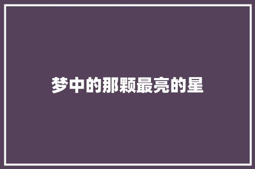 梦中的那颗最亮的星