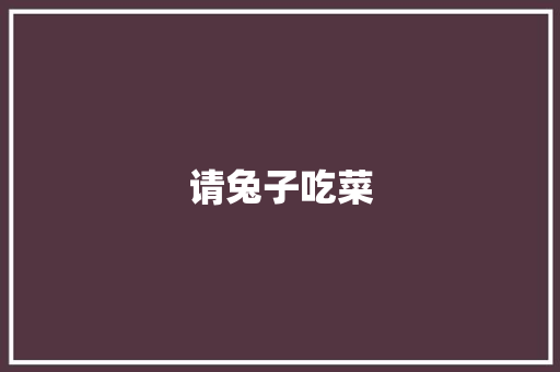 请兔子吃菜