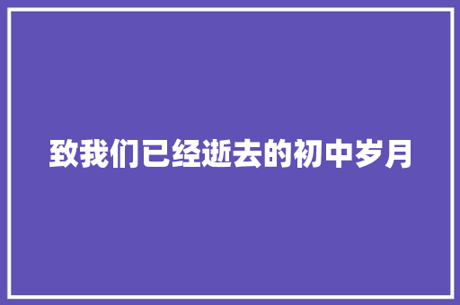 致我们已经逝去的初中岁月